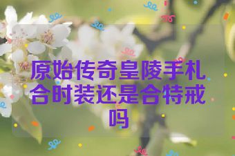 原始传奇皇陵手札合时装还是合特戒吗