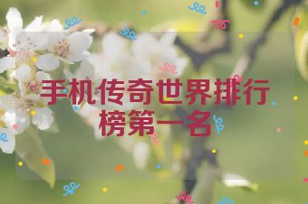 手机传奇世界排行榜第一名