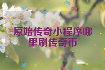 原始传奇小程序哪里刷传奇币