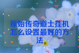 原始传奇道士挂机怎么设置最好的方法
